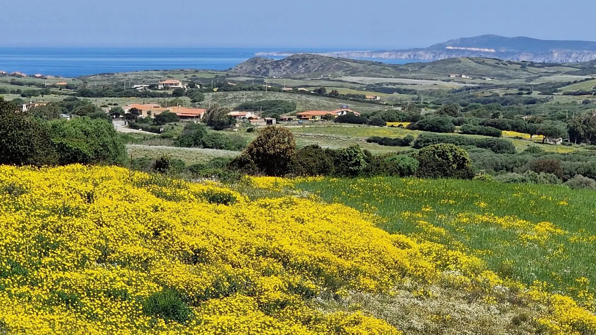 B&B Sa Corte Biancareddu Italien