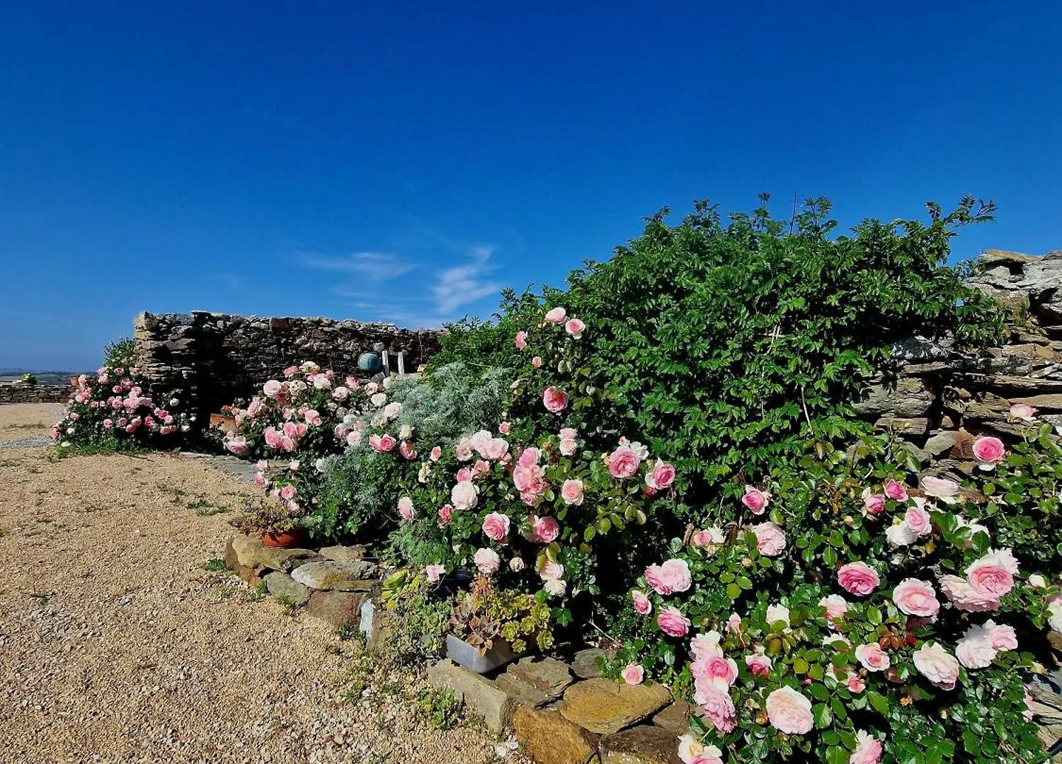 Bed & Breakfast B&B Sa Corte Biancareddu Italy
